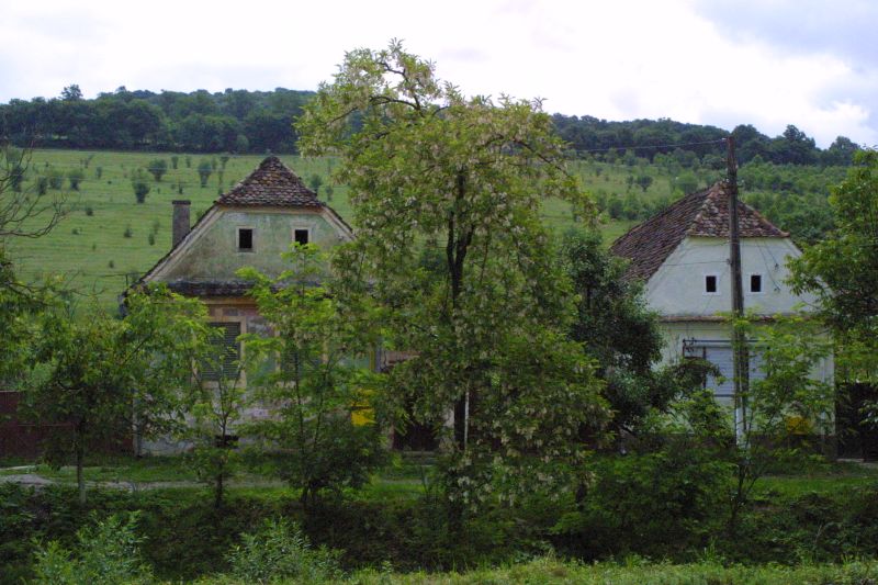 Bild 3 von 60  -  100 kB