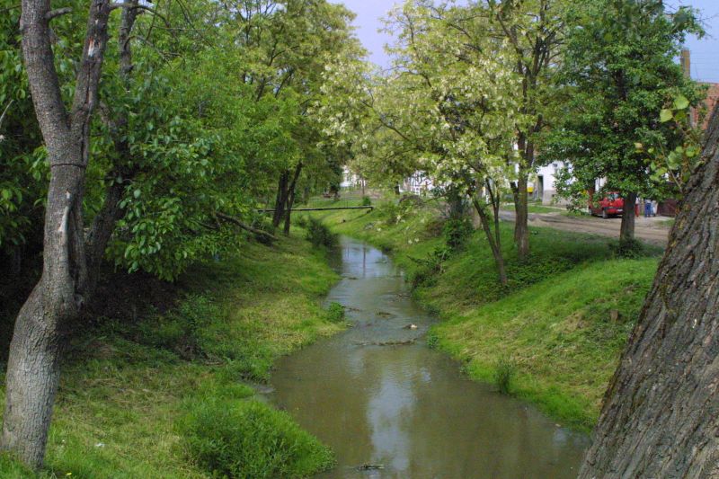 Bild 13 von 60  -  121 kB