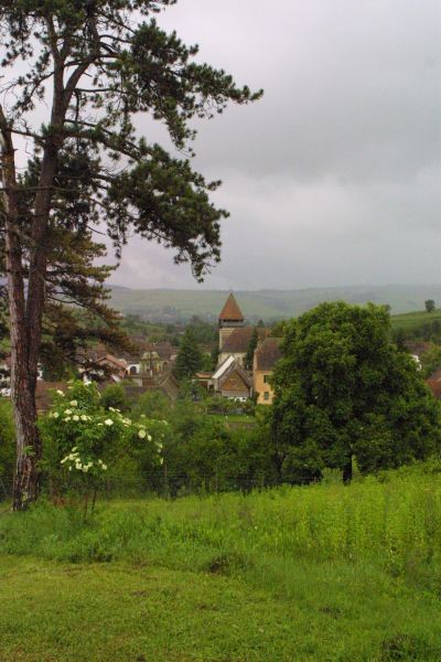 Bild 41 von 60  -  61 kB